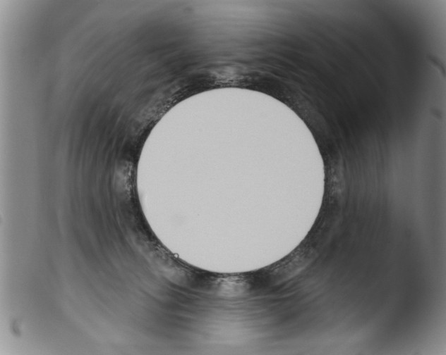 X0000103460275200810240956