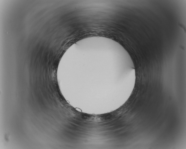 X0000103460276200810240956