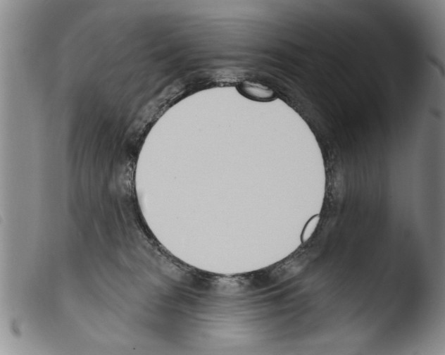 X0000103460277200810240956