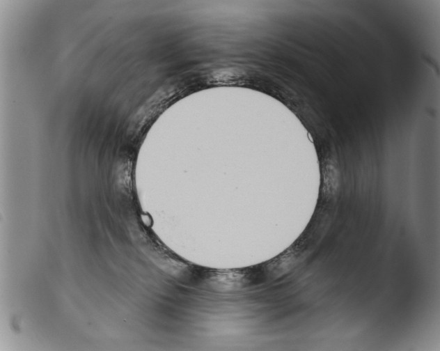 X0000103460278200810240956