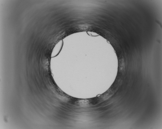 X0000103460279200810240956