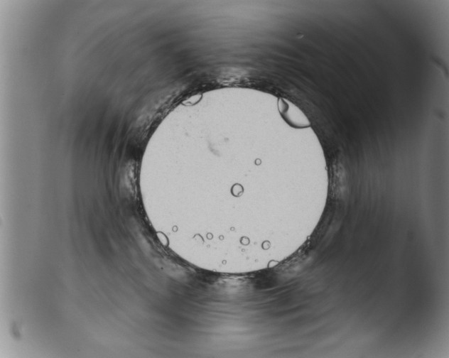 X0000103460280200810240956