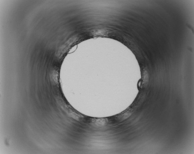 X0000103460282200810240956
