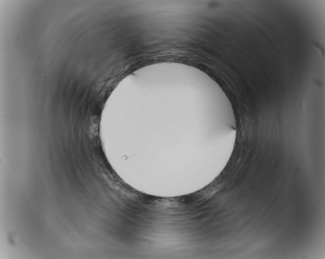 X0000103460284200810240956