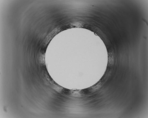 X0000103460285200810240956