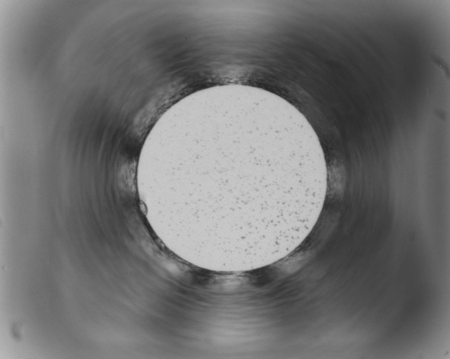 X0000103460286200810240956