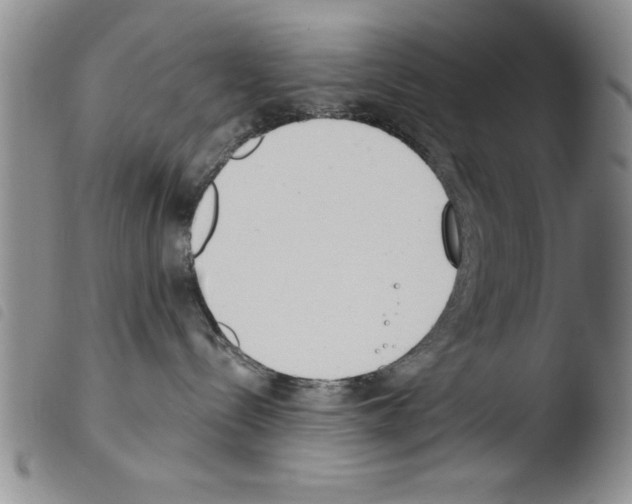 X0000103460288200810240956