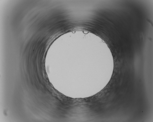 X0000103460289200810240956