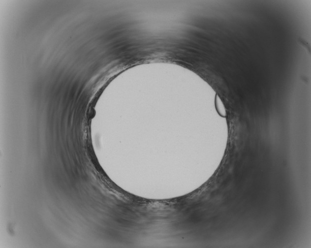 X0000103460290200810240956