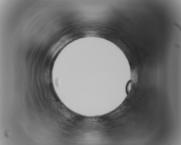 X0000103460291200810240956