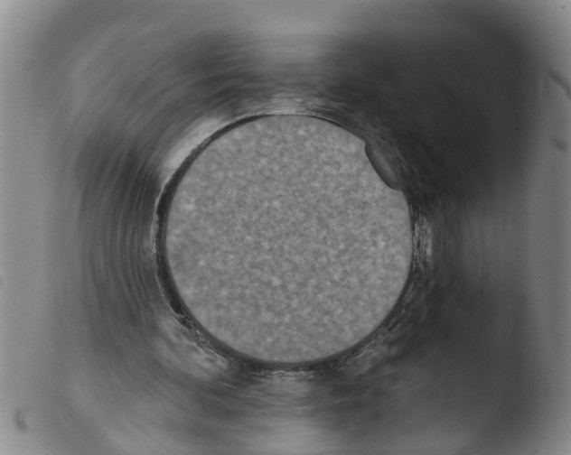 X0000103460292200810240956
