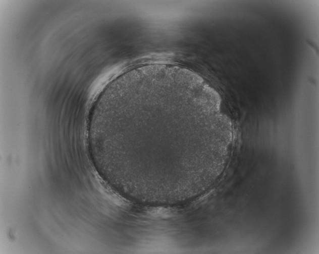 X0000103460293200810240956