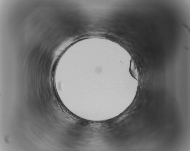 X0000103460294200810240956