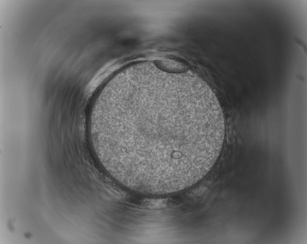X0000103460295200810240956