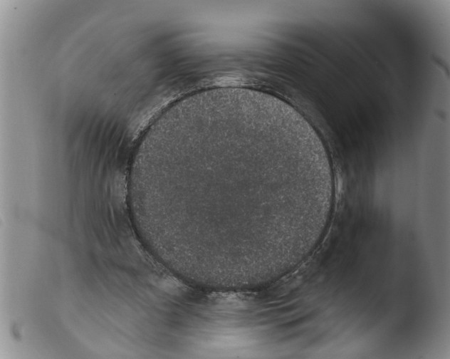 X0000103460297200810240955