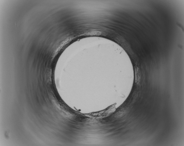 X0000103460300200810240955