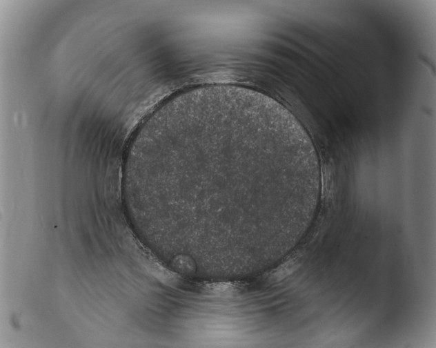 X0000103460301200810240955