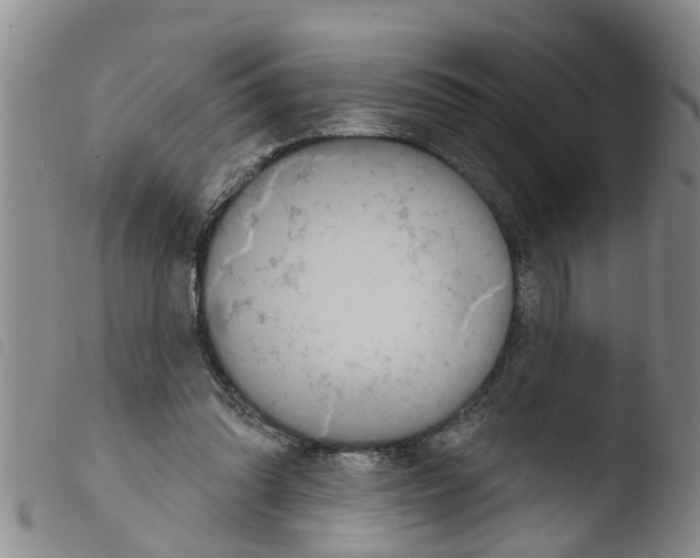 X0000103460302200810240955