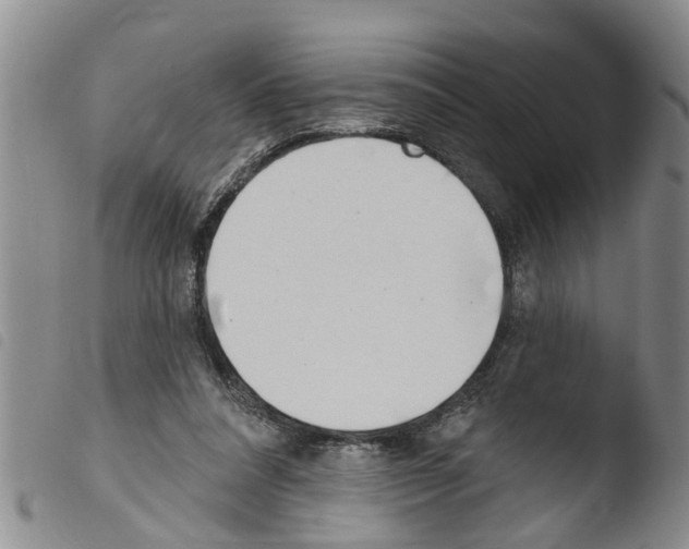 X0000103460304200810240955