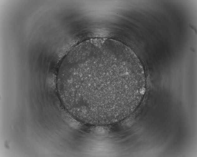 X0000103460305200810240955