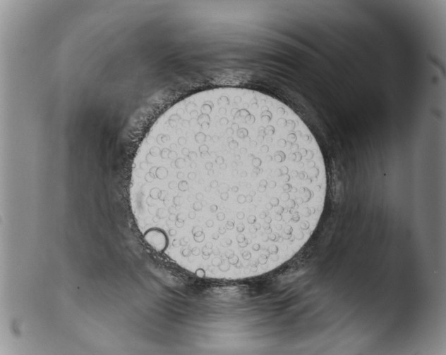 X0000103460307200810240955