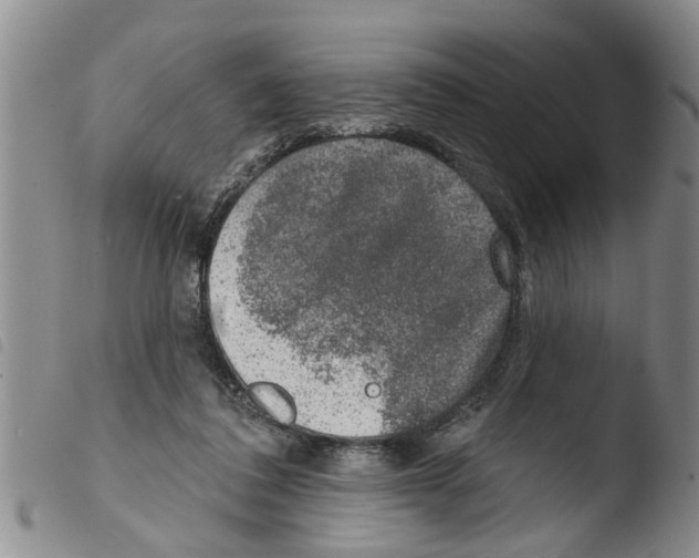 X0000103460308200810240955