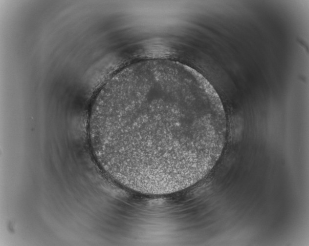X0000103460309200810240955