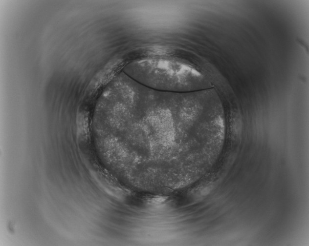 X0000103460312200810240955