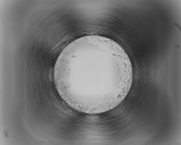 X0000103460313200810240955