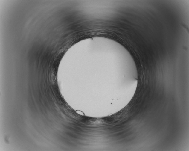 X0000103460316200810240955