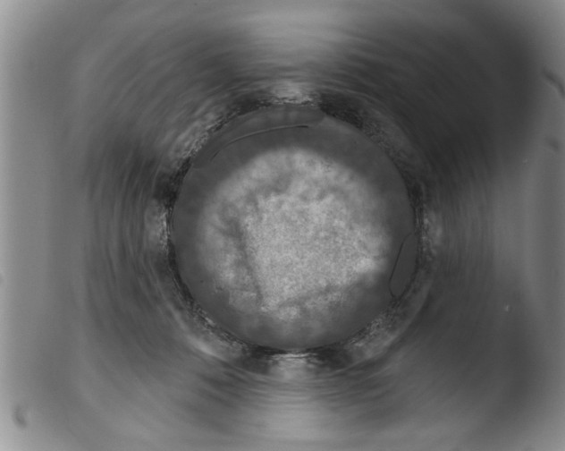 X0000103460320200810240955