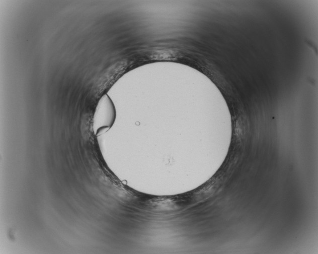 X0000103460322200810240955