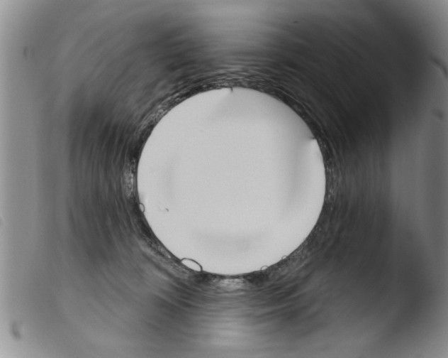 X0000103460324200810240955