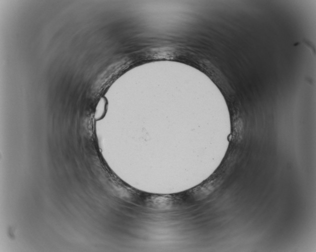 X0000103460325200810240955