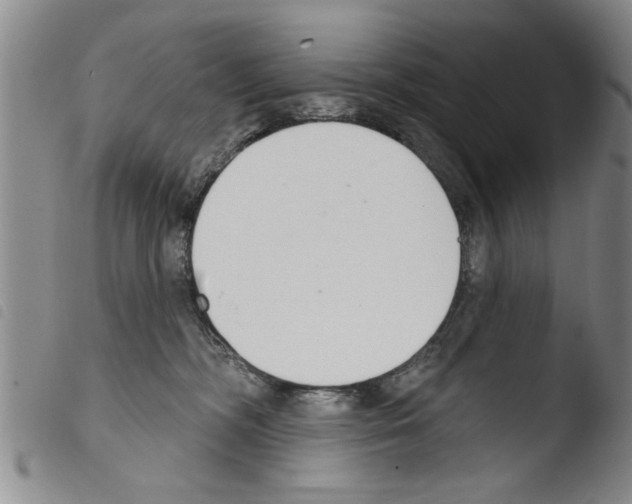 X0000103460326200810240955