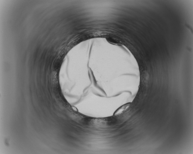 X0000103460327200810240955