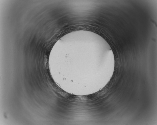 X0000103460328200810240955