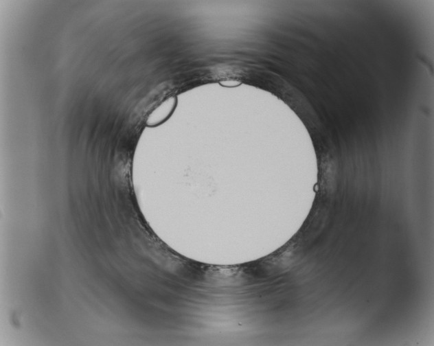X0000103460329200810240955