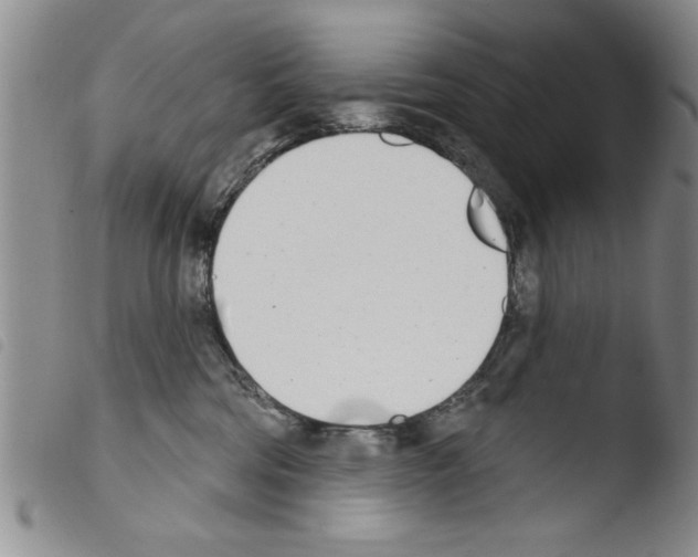 X0000103460330200810240955