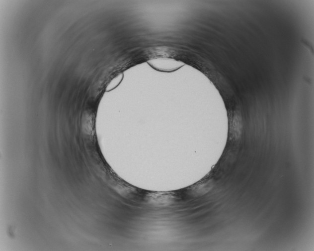 X0000103460331200810240955
