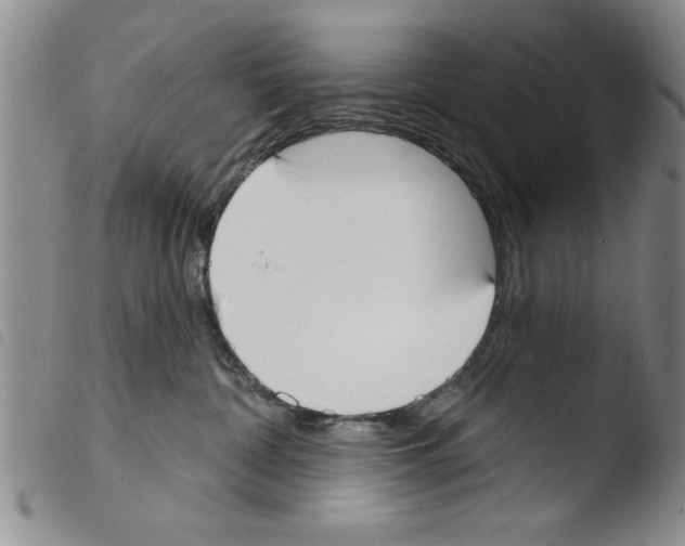 X0000103460332200810240955