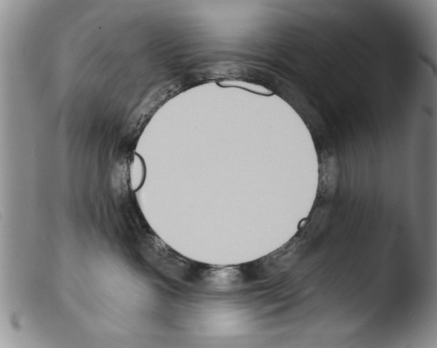 X0000103460333200810240955
