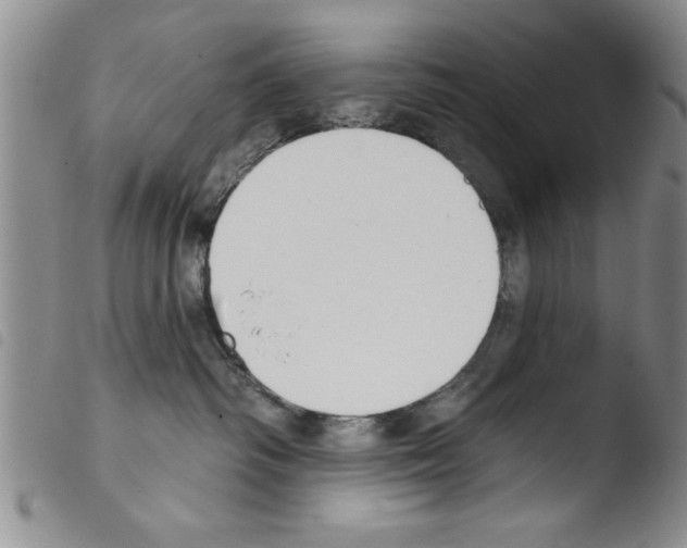 X0000103460334200810240955