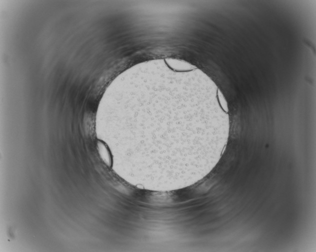 X0000103460335200810240955