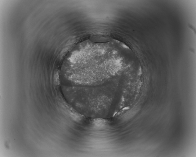 X0000103460336200810240955