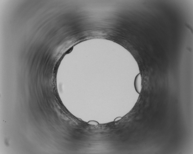 X0000103460338200810240954