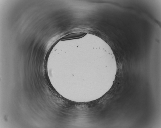 X0000103460340200810240954
