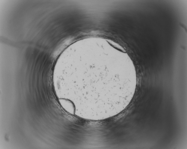 X0000103460341200810240954
