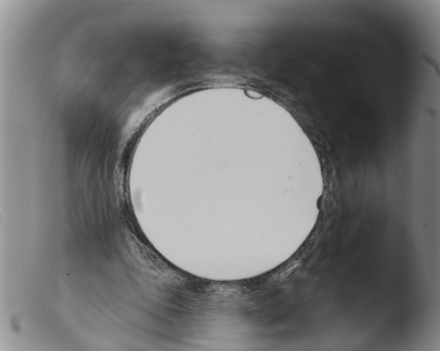 X0000103460343200810240954