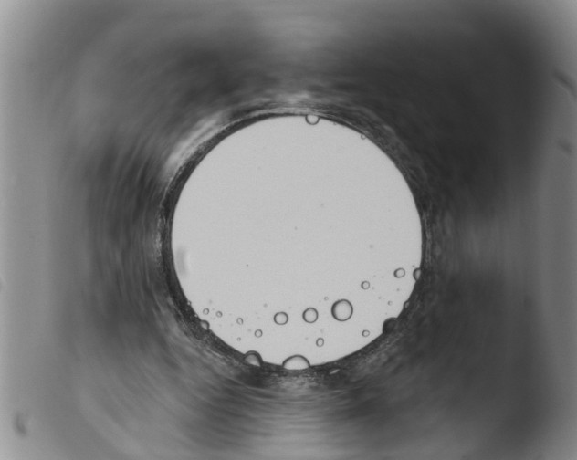 X0000103460344200810240954